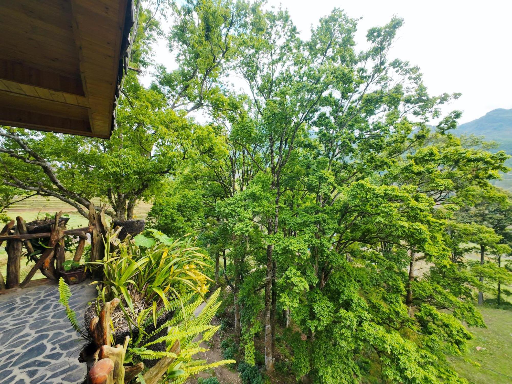 Mt House Sa Pa酒店 外观 照片